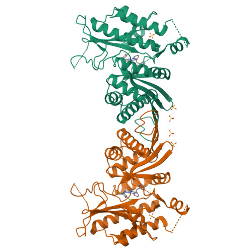 Structural basis for high-affinity inhibitor binding to lipid kinases PIP4K2A and PIP4K2B.