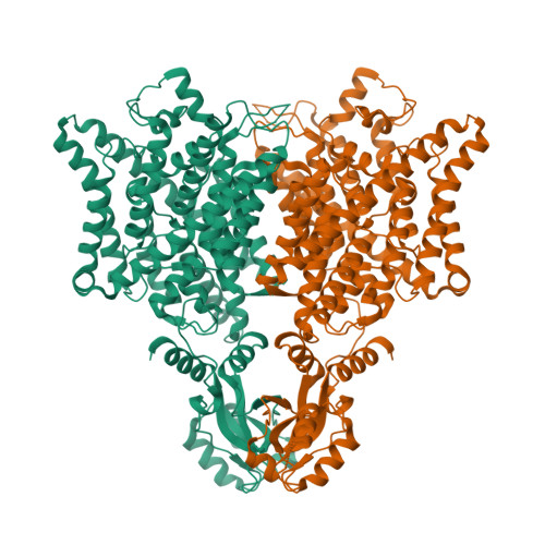 Structure 11AH