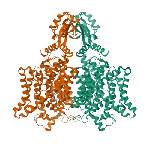 Structure 11AK