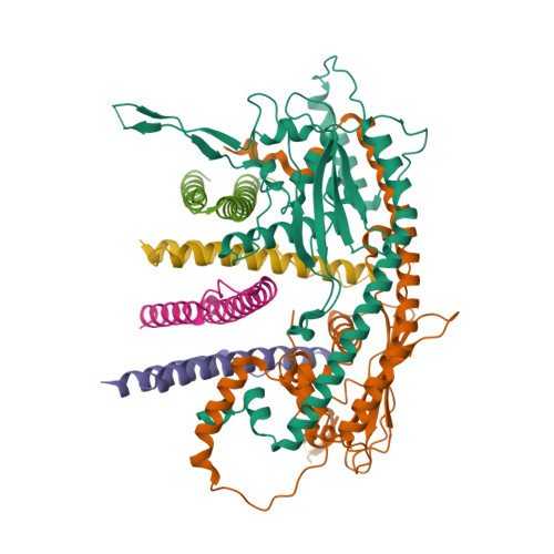 Structure 11BC