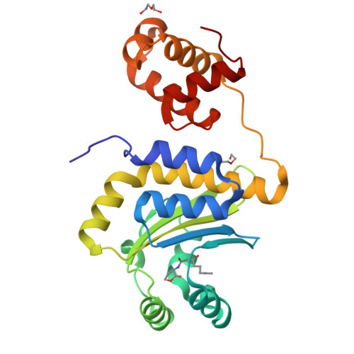 Structure 11BM