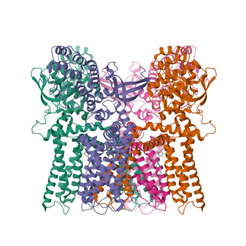 RCSB PDB - 11CL: Structure of human TRPV1 in complex with Asivatrep