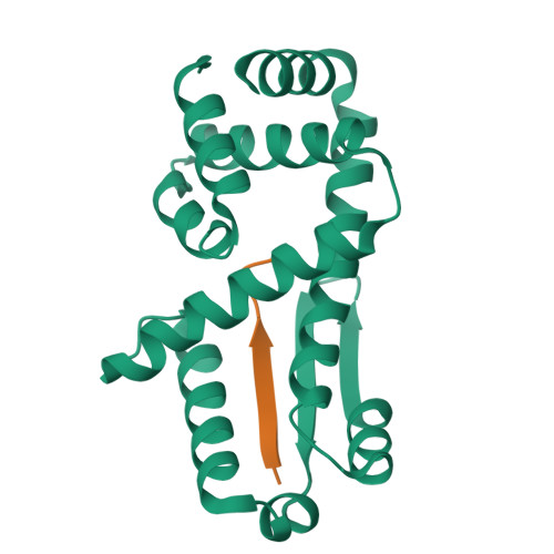 Structure 11CM