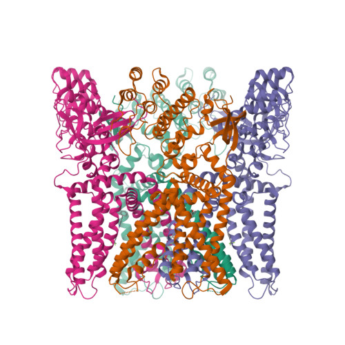 RCSB PDB - 11CN: Structure of human TRPV1 in complex with Mavatrep