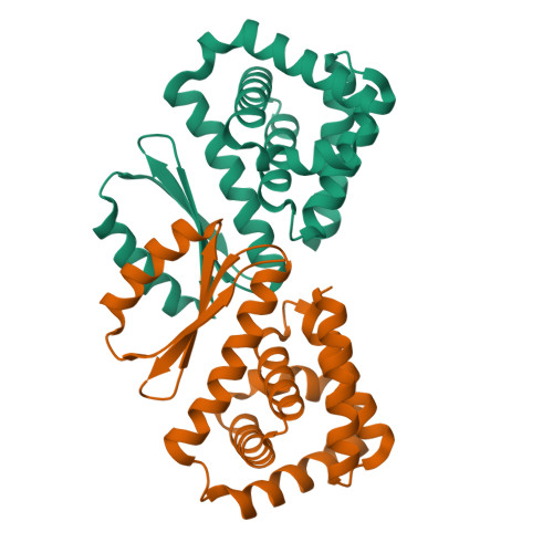 Structure 11CP