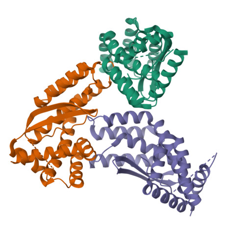 Structure 11CU