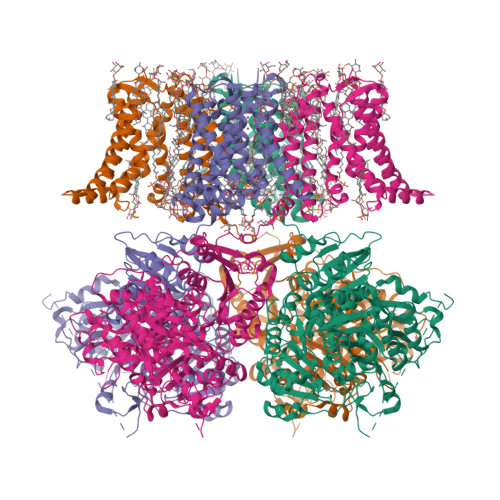 Structure 11CZ