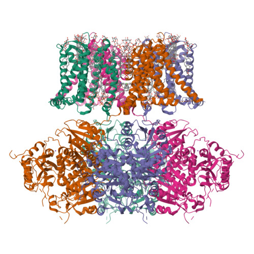 Structure 11DA