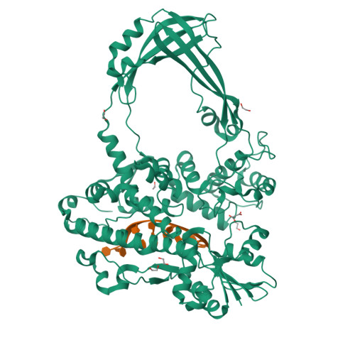 New Insights into Binding of G-segment DNA to the Active Site of Escherichia coli Topoisomerase III.