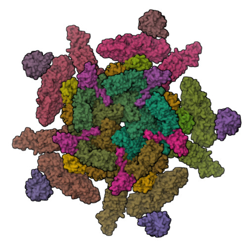Structure 11FG