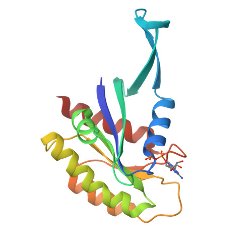 Structure 11FL