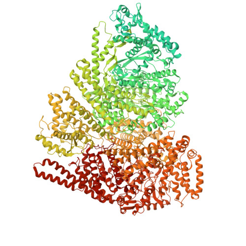 Structure 11GP