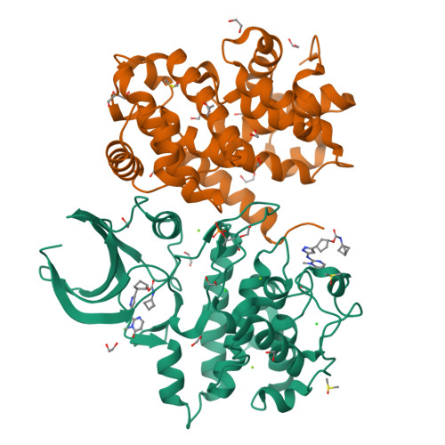 Structure 11GV