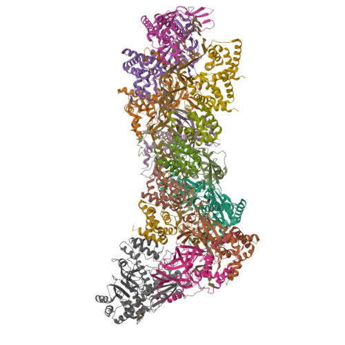 Structure 11HD
