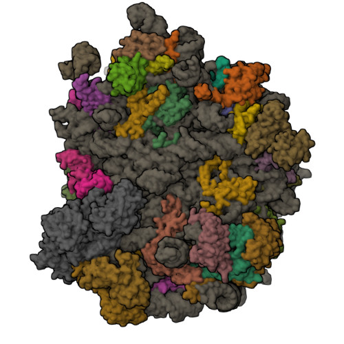 Structure 11HE