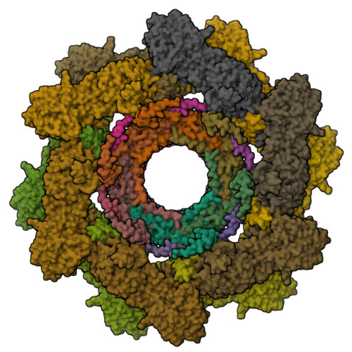 Structure 11HF