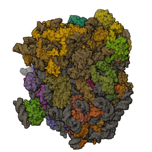 Structure 11HG