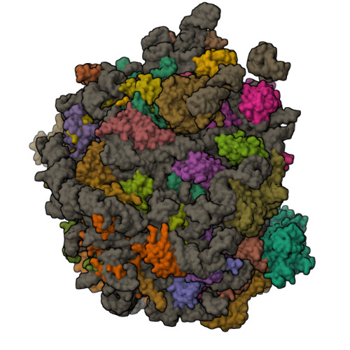 Structure 11HV