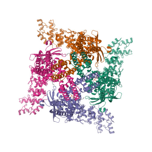 Structure 11HZ