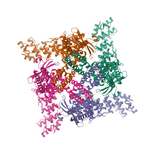 Structure 11IA