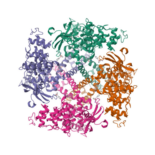 Structure 11IB