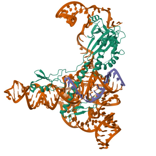 Structure 11IC