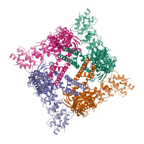 Structure 11ID