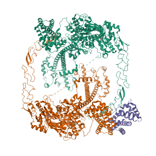 Structure 11IM