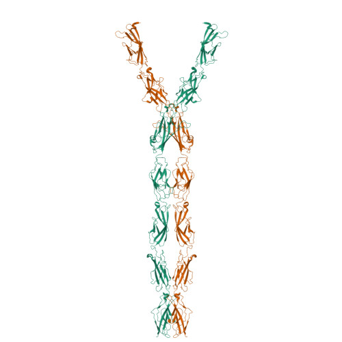 Structure 11IY