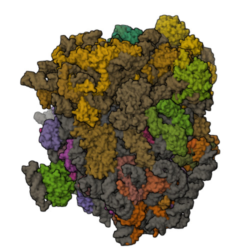 Structure 11JJ
