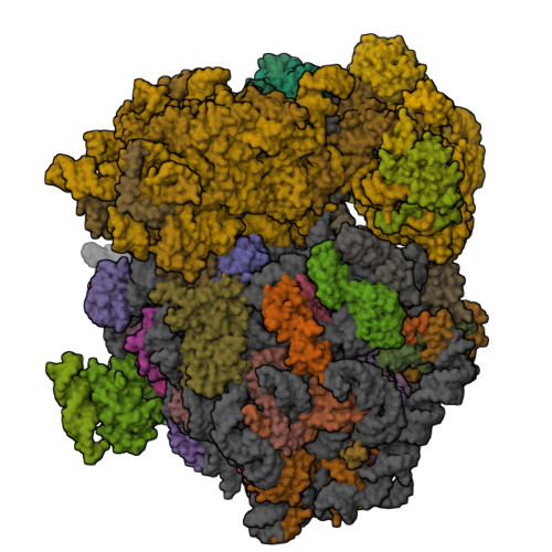Structure 11KH