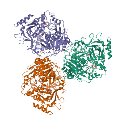 Structure 11KM