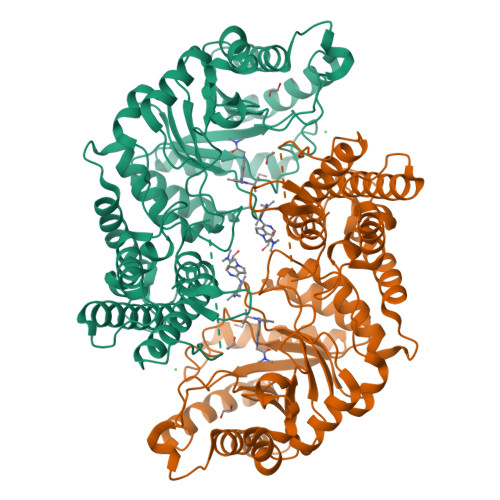 Structure 11LI