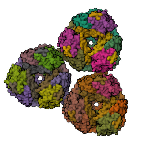 Structure 11LL
