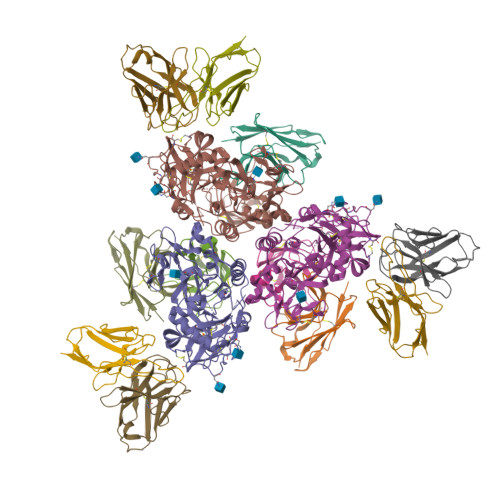 Structure 11LR