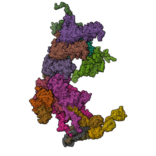 Structure 11LX