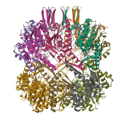 Structure 11MI