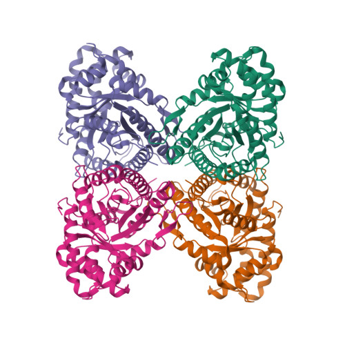 Fructose-bisphosphate aldolase A structure