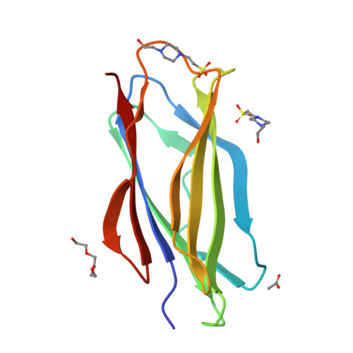 Structure 11OT