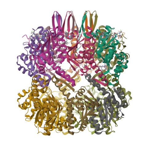Structure 11PA