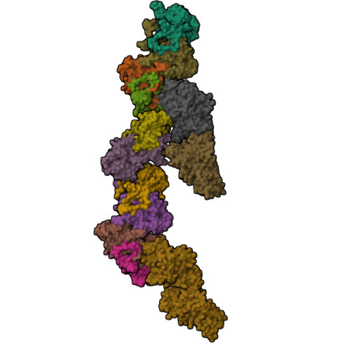 Structure 11PB