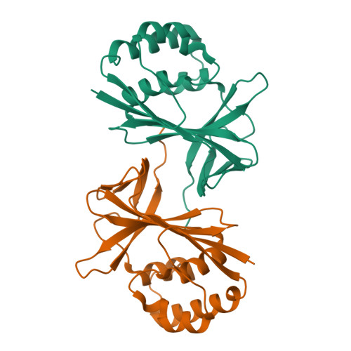 Structure 11PU