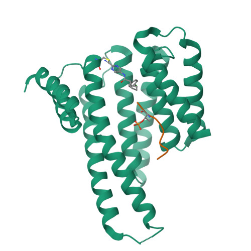 Structure 11SD