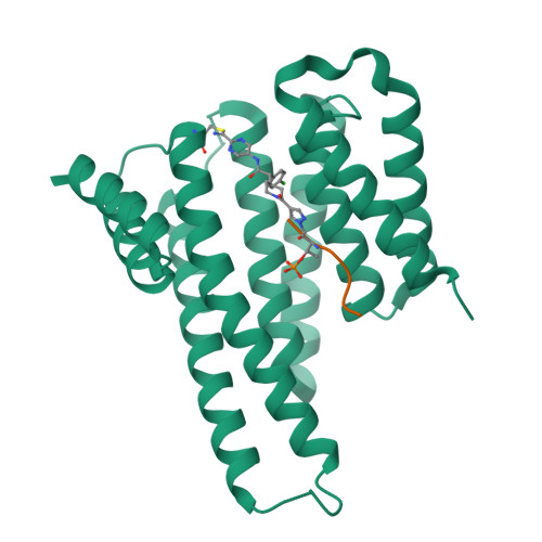 Structure 11SH