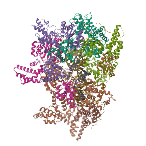 Structure 11SU