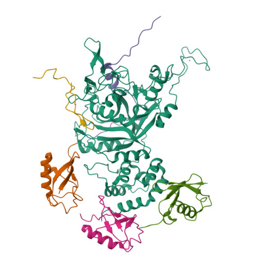 P97 Complex RCSB PDB - 11SY: Cryo-EM structure of substrate engaged p97-Ufd1-NPL4 ...
