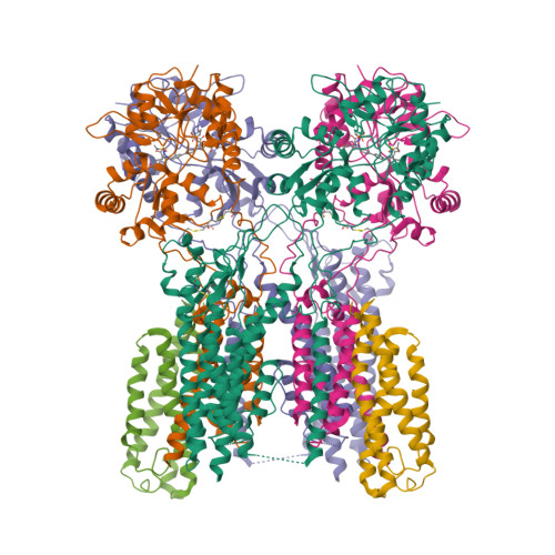 Structure 11UF