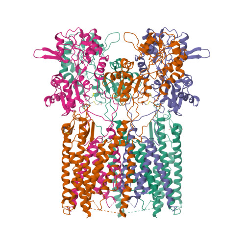 Structure 11UG