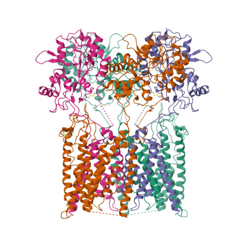 Structure 11UH