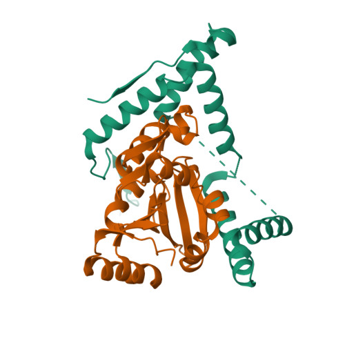 Structure 11UX